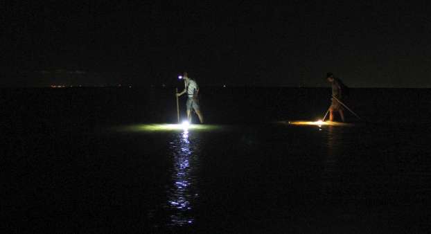 flounder gigging lights for wading