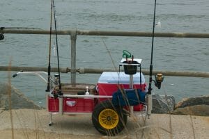 Best Fishing Carts